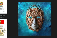 Illustrative-WPCsamples2024-Diamantino-Jesus
