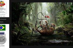Illustrative-WPCsamples2024-Luciano-Honorato