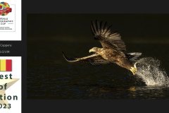 Nature-Wildlife-WPCsamples2024-Ann-Coppens