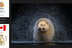 Nature-Wildlife-WPCsamples2024-Michelle-Valberg