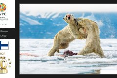 Nature-Wildlife-WPCsamples2024-Risto-Raunio
