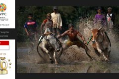 Reportage-WPCsamples2024-Chew-Seng-Kim