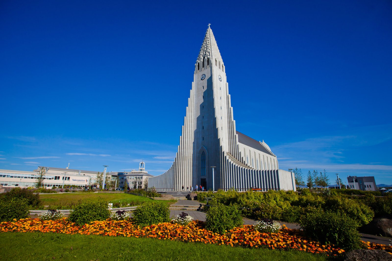 Reykjavik Social Walking Tour